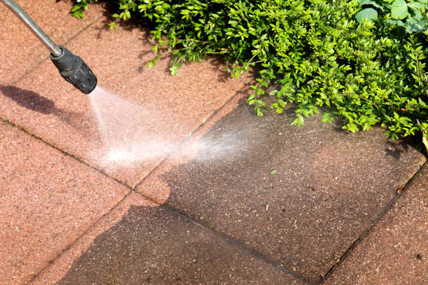 Best Pressure Washing Near Me  in Guilford Center, CT